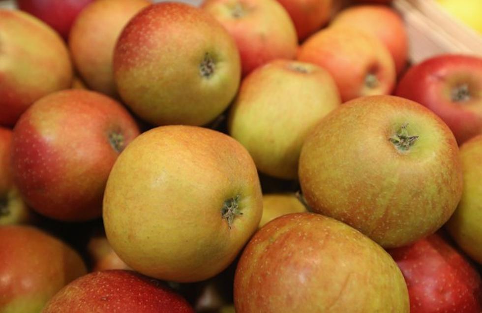 Honeycrisp or Cortland Apples - Pahl's Market - Apple Valley, MN